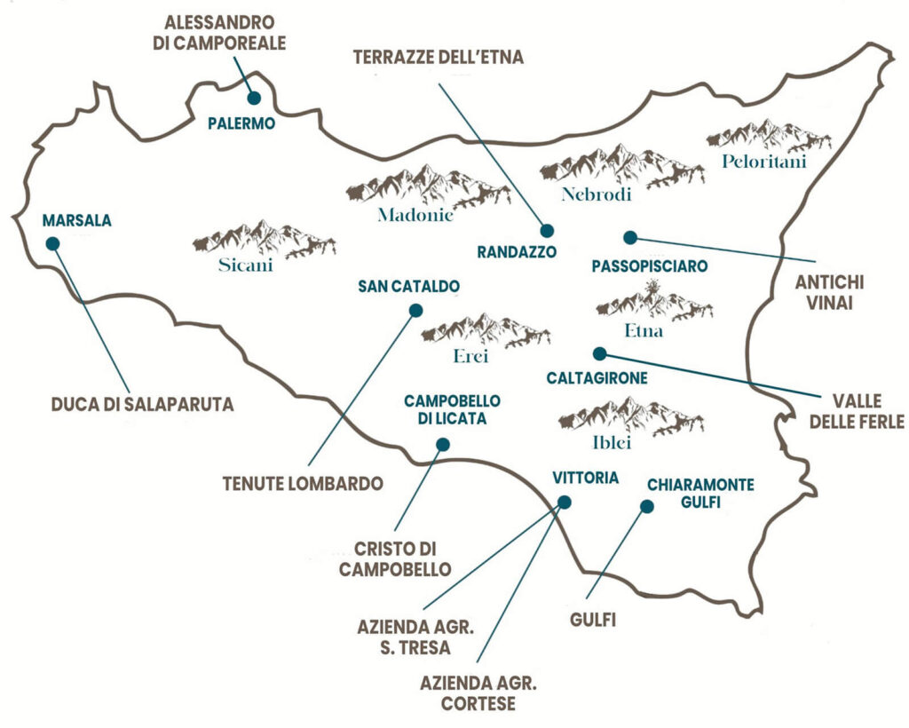Immagine Vini